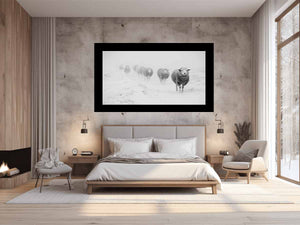 Sheeps in Field