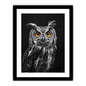 Owl Art Print