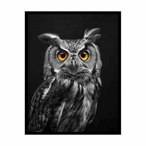 Owl Painting