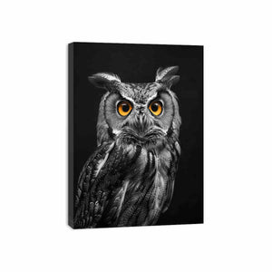 Owl Canvas Print