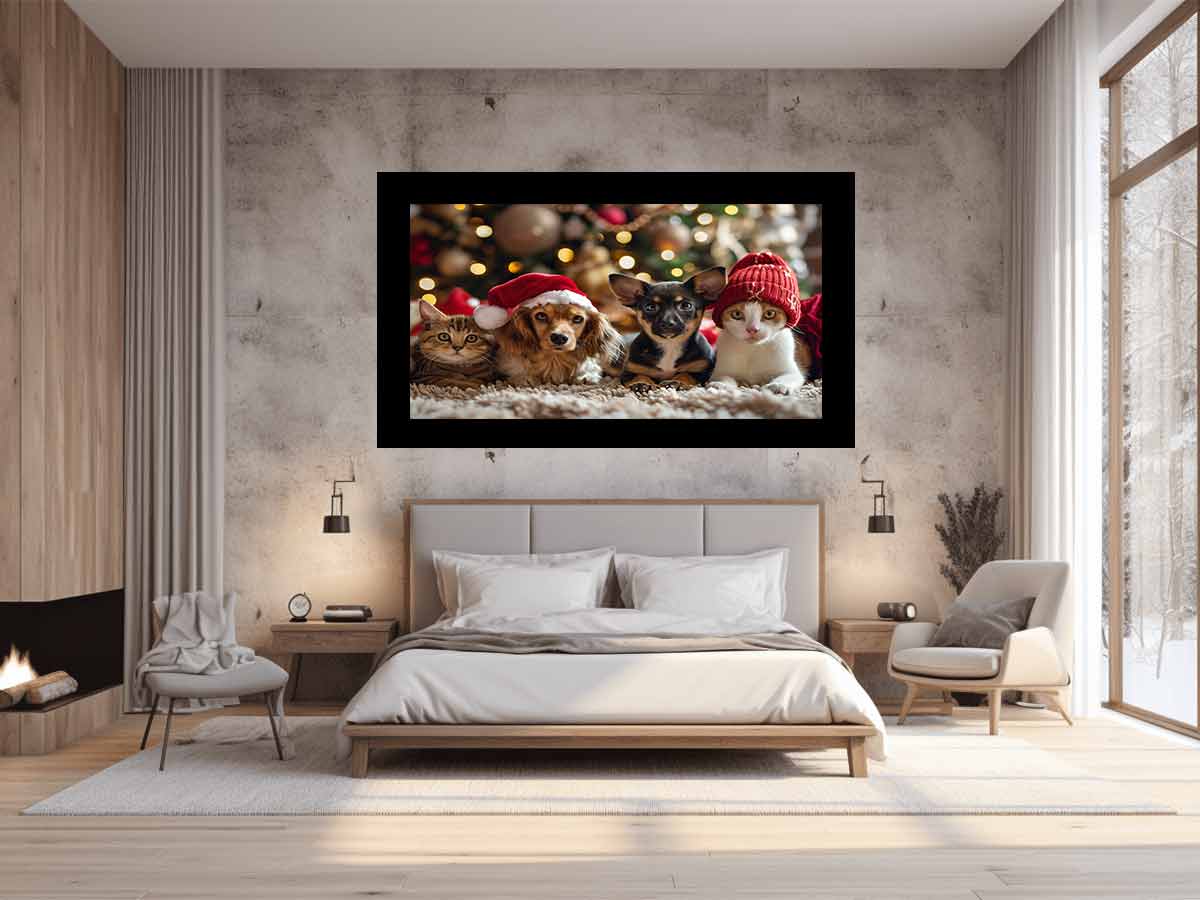 Festive Animals