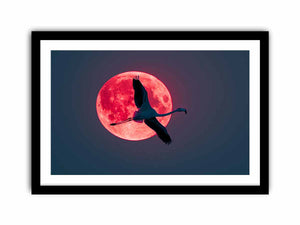 Flamingo Art Print