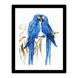 Hyacinth Macaw Art Print