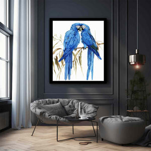 Hyacinth Macaw