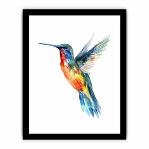 Hummingbird Art Print