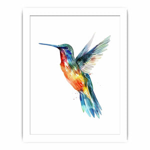 Hummingbird Streched canvas