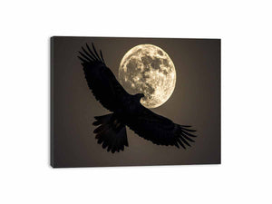 Eagle Canvas Print