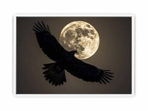 Eagle Framed Print