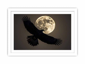 Eagle Streched canvas