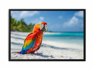 Tropical Parrot Painting