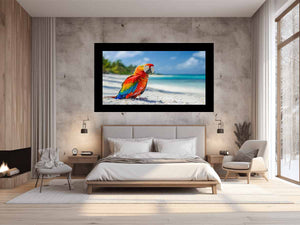 Tropical Parrot