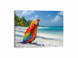 Tropical Parrot Canvas Print