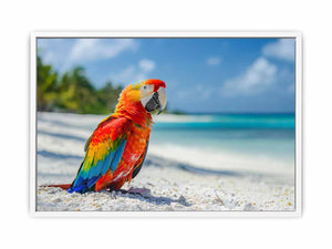 Tropical Parrot Framed Print