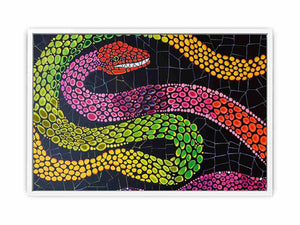 Snake Framed Print