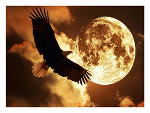 Eagle