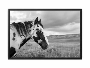 Horse Painting
