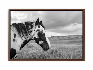 Horse Poster