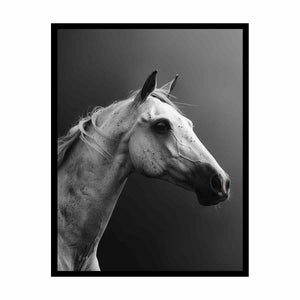 Horse Painting