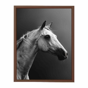 Horse Poster