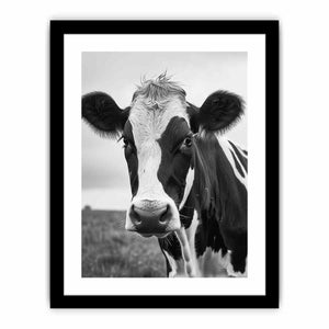 Cow Art Print