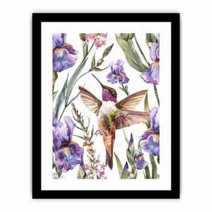 Hummingbird Art Print