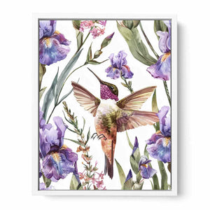Hummingbird Framed Print