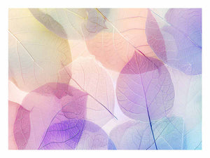 Colorful Pastel