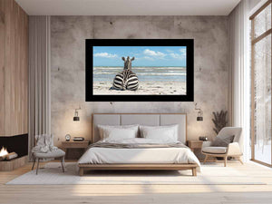 Calm Zebra