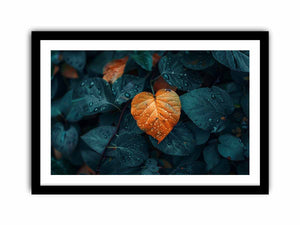 Love Leaf Art Print
