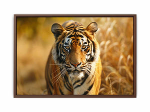 Bengal Tiger Poster