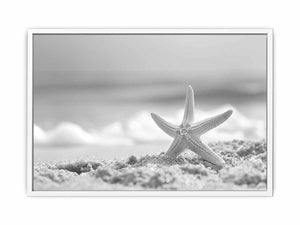 Starfish Framed Print