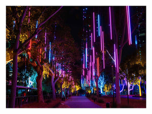 Lights