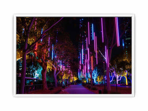 Lights Framed Print