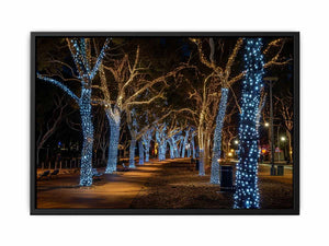 Lights Painting