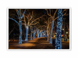 Lights Framed Print