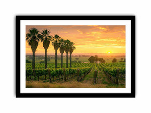 Dream Fall Art Print