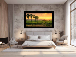 Dream Fall