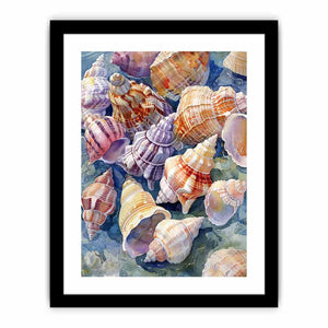 SHell Art Print