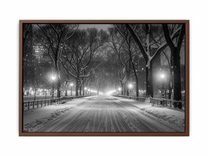 Central Park Poster