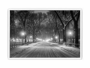 Central Park Framed Print