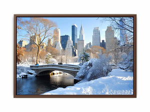 Central Park in Winter Poster