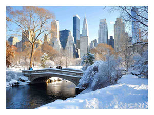 Central Park in Winter