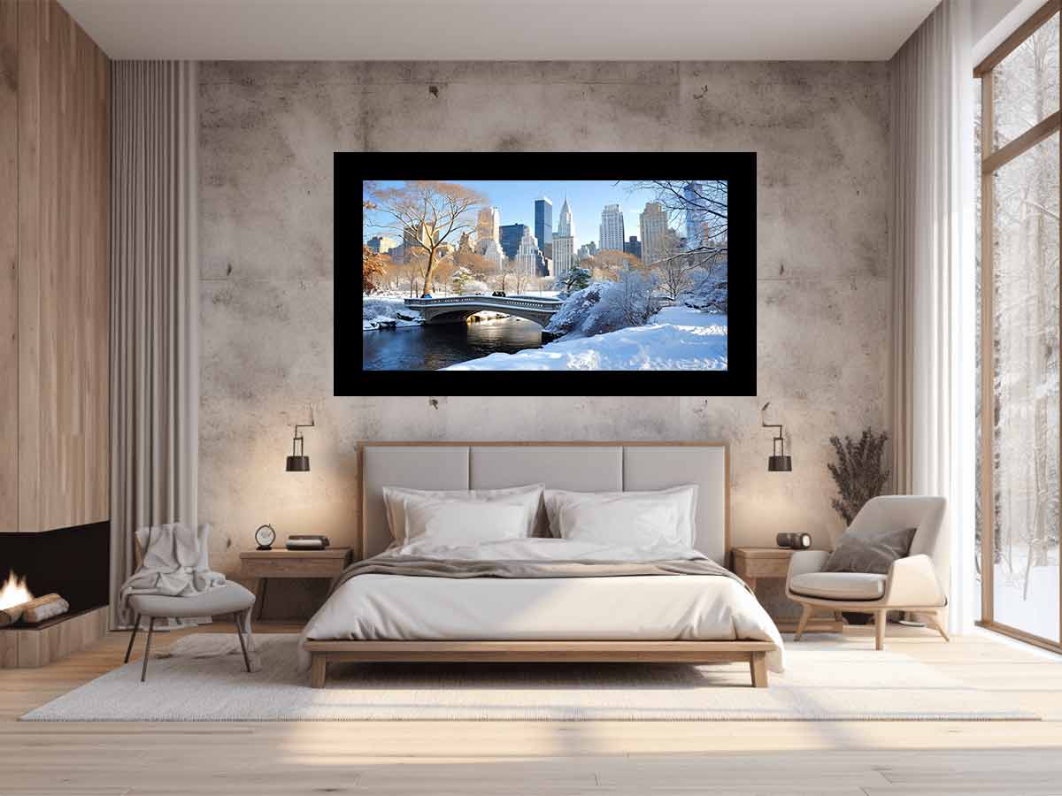 Central Park in Winter