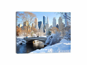 Central Park in Winter Canvas Print