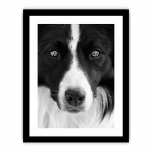 Dog Art Print