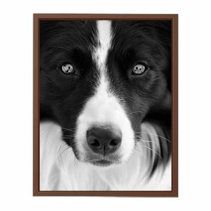 Dog Poster