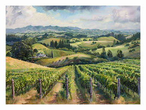 South Australia Vineyard