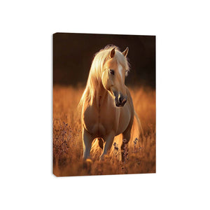 white horse premium canvas wall art for modern living room decor