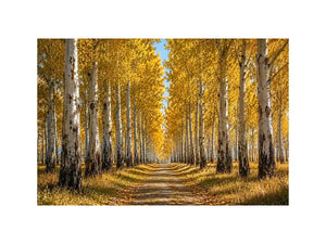 Golden autumn birch forest canvas art for warm hallway and living room decor.