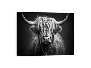 Black and white Highland cow canvas art for rustic modern living room decor.